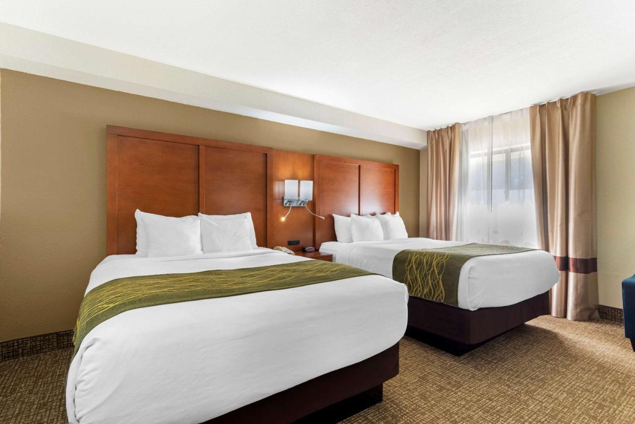 Comfort Inn & Suites - Near Robins Air Force Base Main Gate Warner Robins Exteriér fotografie