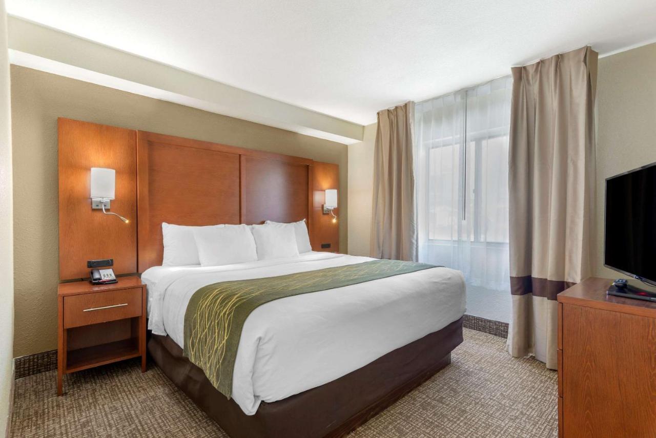 Comfort Inn & Suites - Near Robins Air Force Base Main Gate Warner Robins Exteriér fotografie